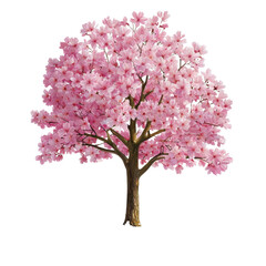 Vibrant pink cherry blossom tree with full bloom showcasing nature's beauty and springtime renewal in a serene landscape transparent background
