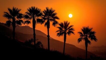 Silhouetted palm trees against a fiery orange sunrise over a hazy hillside