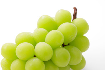 シャインマスカット 白背景　Shine Muscat on White Background