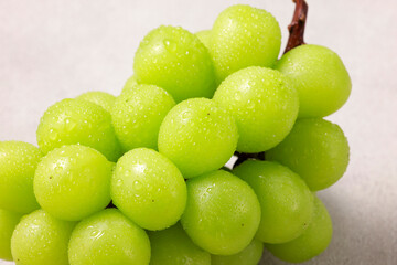 シャインマスカット　Shine Muscat (Green Seedless Grapes)