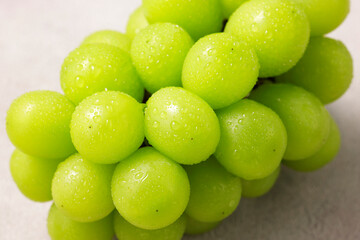 シャインマスカット　Shine Muscat (Green Seedless Grapes)