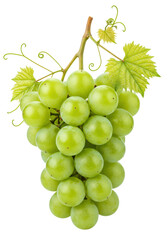 Vibrant cluster of plump, spherical green grapes with waxy bloom, leaves, and tendrils on a stem, isolated on a transparent background, high-key studio macro. Concept of natural purity