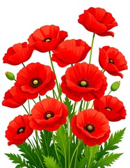 Obraz premium Vivid red poppies bloom in a cluster against a pure white background.