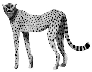 raster image of a cheetah on a transparent background