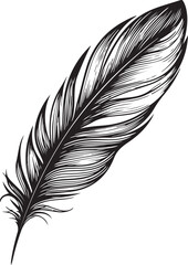 Obraz premium Feather Quill Bird Sketch Drawing Vector Illustration, Doodle Line Art Linear Engraving 