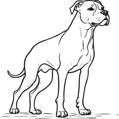 Fototapeta premium Boxer Dog Breed Standing, Purebred Pet, Sketch Drawing Vector Illustration, Doodle Line Art Linear Engraving 
