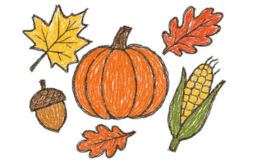 Autumn harvest elements with pumpkin leaves acorn and corn hand drawn in pencil and crayon for seasonal Halloween illustration © Evgenia