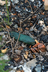 A broken green bottle and scattered red bricks lie on the ground amidst black ash, rocks, and dead leaves, with a small green plant growing nearby.