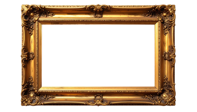 Ornate gold picture frame (5)