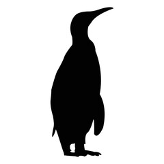Obraz premium Cute and adorable penguin black silhouette vector
