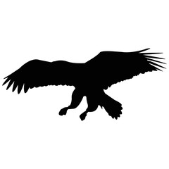 Flying Eagle Silhouette on Transparent Background for Nature and Wildlife Designs