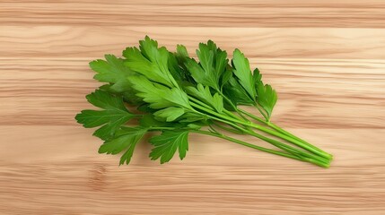 Fresh Parsley Sprig on Wooden Background