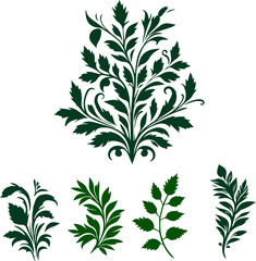 green leaves isolated on white