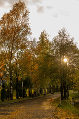 Naklejka premium Beautiful autumn park, autumn nature, pond in autumn, yellow leaves