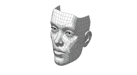 3d wireframe human head on white background: detailed geometric design