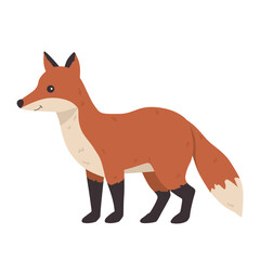 Charming vector illustration of a cute fox standing in a side view. Bright orange fur and bushy tail emphasize its playful nature. Ideal for nature-themed designs and education.