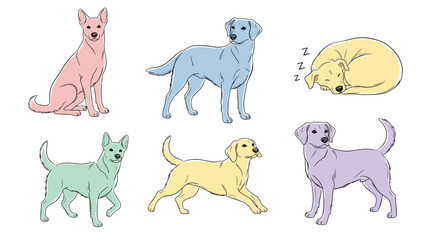 Cartoon vector of colorful dogs in different playful poses, including sitting, standing, and lying down with varied expressions.