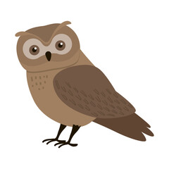 Charming vector illustration of a cute, brown owl with big eyes on a white background. Ideal for educational materials, children s books, or nature-themed designs.