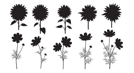 Floral silhouettes: sunflower and cosmos collection for nature designs