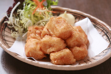 Close up of Japanese fried Tofu