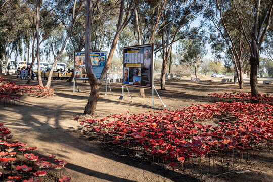 Re'im, Israel, A tribute to victims of terrorist attack on  NOVA Festival,  near Gaza, with red poppies symbolizing remembrance and loss.