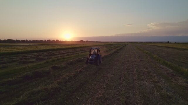 Aerial view of tractor with hay tedders in a field at sunset with golden light.
Tedder for tractor. The machine for gathering hay.