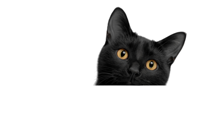 Black Cat Peeking Over White Edge