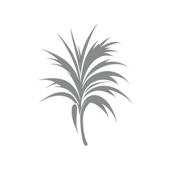 Elegant Palm Frond Silhouette