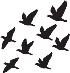 Flying bird flock
