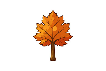 maple leaf isolated on white