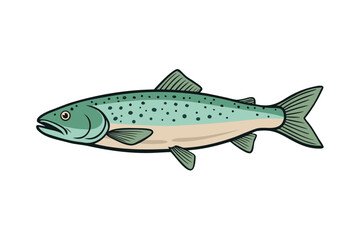 Fototapeta premium fish on white background