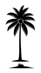 Tropical Palm Tree Silhouette.