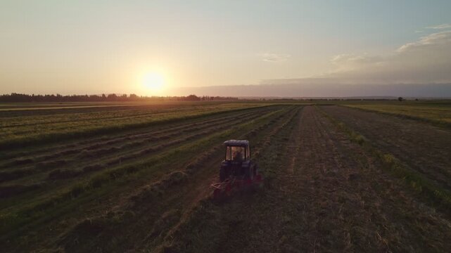 Hay Rake And Tractor Raking Hay In Field Aerial Cinematic 4K video. Small ranching hay harvesting. Tractor working in field at sunset.
