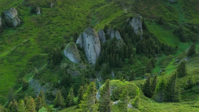 Isolated rock towers surrounded by lush vegetation and blooming rhododendrons in Ciucas Mountains, Transylvania, Romania