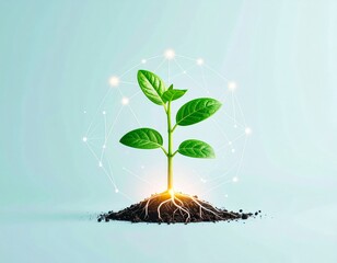 Plant growth and technology concept fresh green sprout with digital web