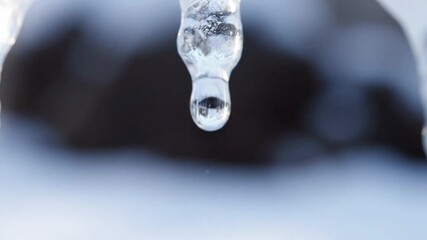 Melting icicle drips water in close-up, symbolizing winter's end and transition. - Powered by Adobe
