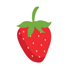 Strawberry fruit illustration. Hand drawn style vector fruit.
