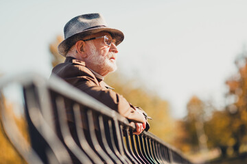 Senior man enjoying a sunny autumn day leaning on a railing in a park surrounded by vibrant trees