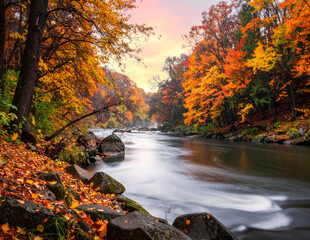 Calm river in autumn forest