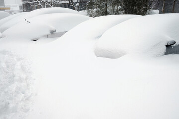 Parking lot with cars covered with fresh snow after snowfall