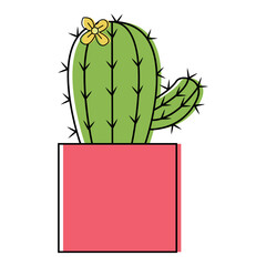 Cute cactus vector illustration for houseplants. Exotic plants.