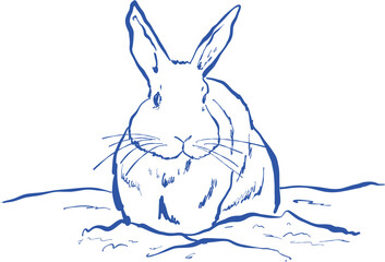 Hand drawn ink vector illustration. Christmas winter time themed. Rabbit on a snow