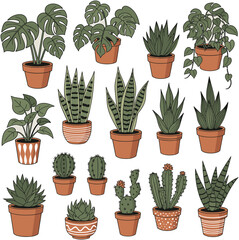 Collection of various potted houseplants and cacti in terracotta pots