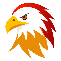 eagle head vector illustration