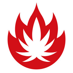 fire icon vector illustration