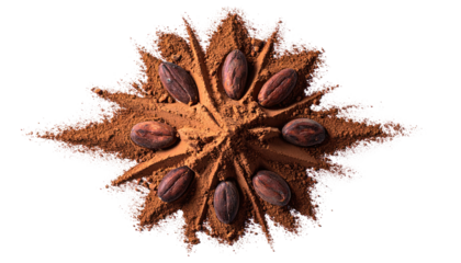 Cocoa beans and powder starburst
