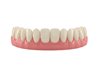 Isolated artificial denture for older people, removable dental prosthesis concept for teeth