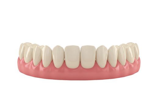 Isolated artificial denture for older people, removable dental prosthesis concept for teeth