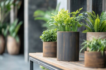 Candid discussion about design ideas for metal planters at an outdoor setting