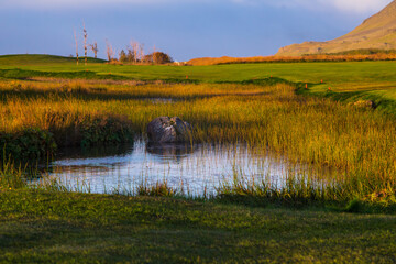 Pond with grass and stone in Icelandic landscape